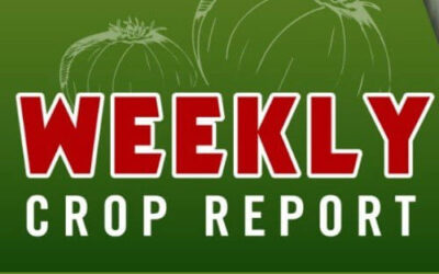 Vidalia Onion Crop Report: February 2022