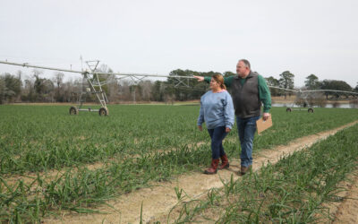 G&R Farms Awarded Major Sustainability Honors