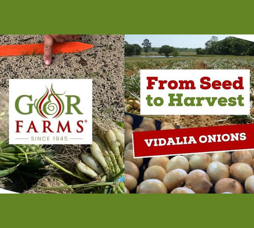 Vidalia Onion: Curing & Shipping