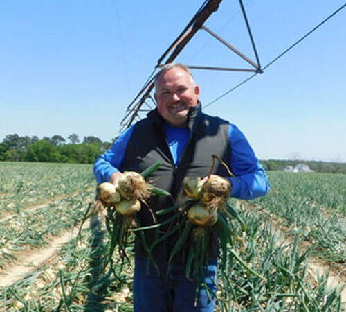 The Vidalia onion harvest had begun!