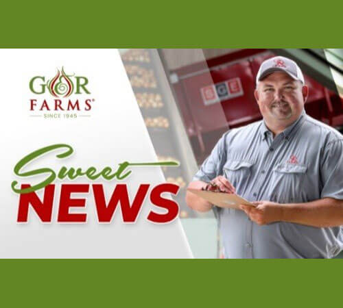 Vidalia Onion Packing Date Announced