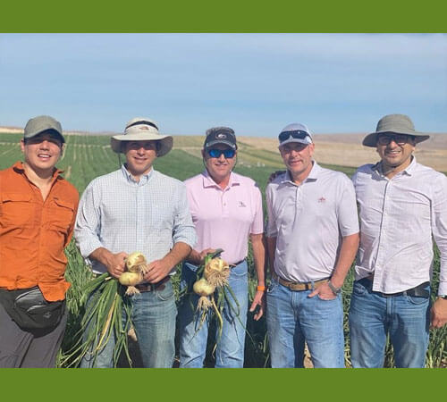 Peruvian Crop Report: November 2021