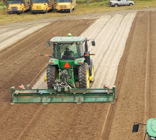 Vidalia Onion: From Seed to Harvest